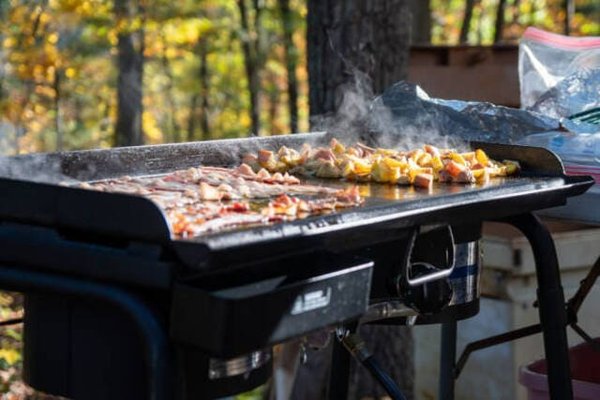 Quel budget prévoir pour l'achat d'une plancha à gaz à 3 feux de qualité ?